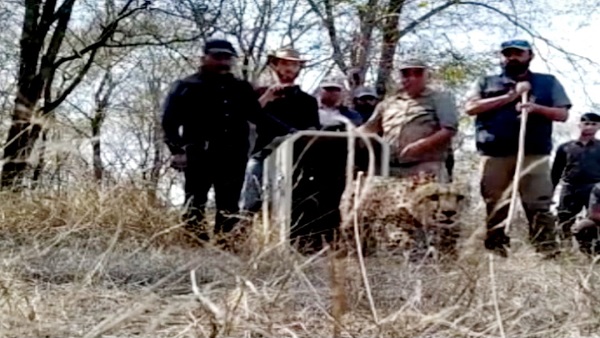 Kuno National park: 12 में से 3 चीतों को बड़े बाड़े में छोड़ा Kuno National park: 12 में से 3 चीतों को बड़े बाड़े में छोड़ा