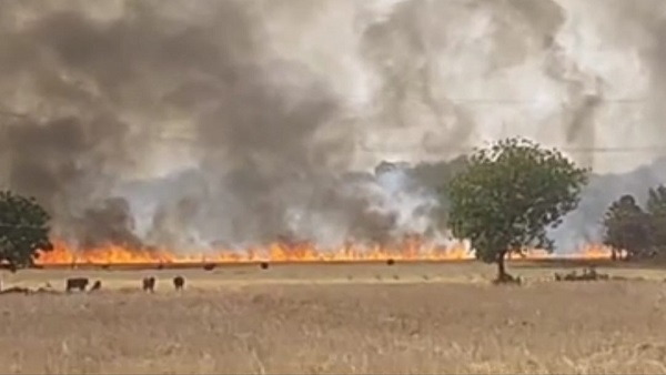 Bundelkhand: चिंगारी से धधकी ज्वाला, सैकड़ों एकड़ की फसलें खाक
