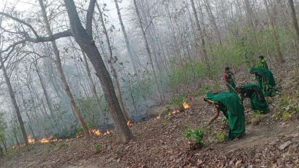 वन ही जीवन है , कर रहीं चरितार्थ वन ही जीवन है , कर रहीं चरितार्थ