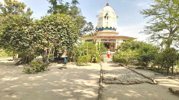 Lakhimpur Crowd gathered to see Ketiki flower blooming in the courtyard of ancient Shiva temple Lakhimpur Crowd gathered to see Ketiki flower blooming in the courtyard of ancient Shiva temple