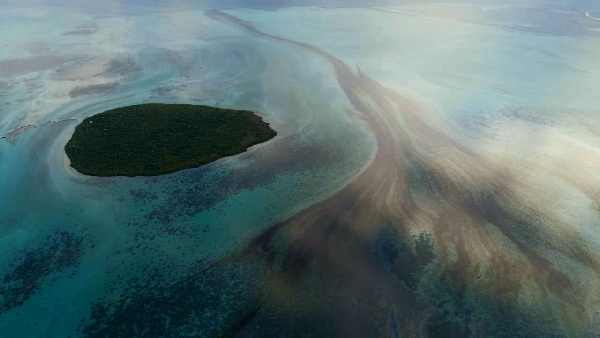 Oceans:Millions of species may be present in the twilight zone of the oceans, scientists are trying to find one lakh in 10 years