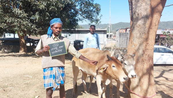 pahadi korwa pahadi korwa