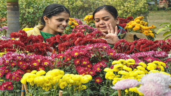 Plants cry in stressed