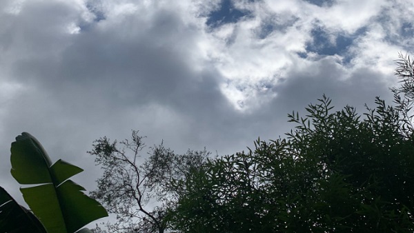 Surya Grahan 2023 Photos