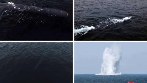 North Korea Nuclear-Capable Underwater Weapon Test