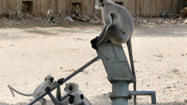 India’s heatwave Trouble Economy