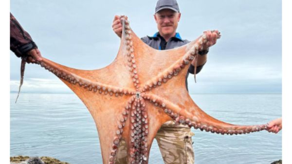 Credit: Rock Solid Coasteering