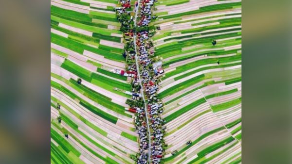 Credit: @ThinkingHumanit/Twitter