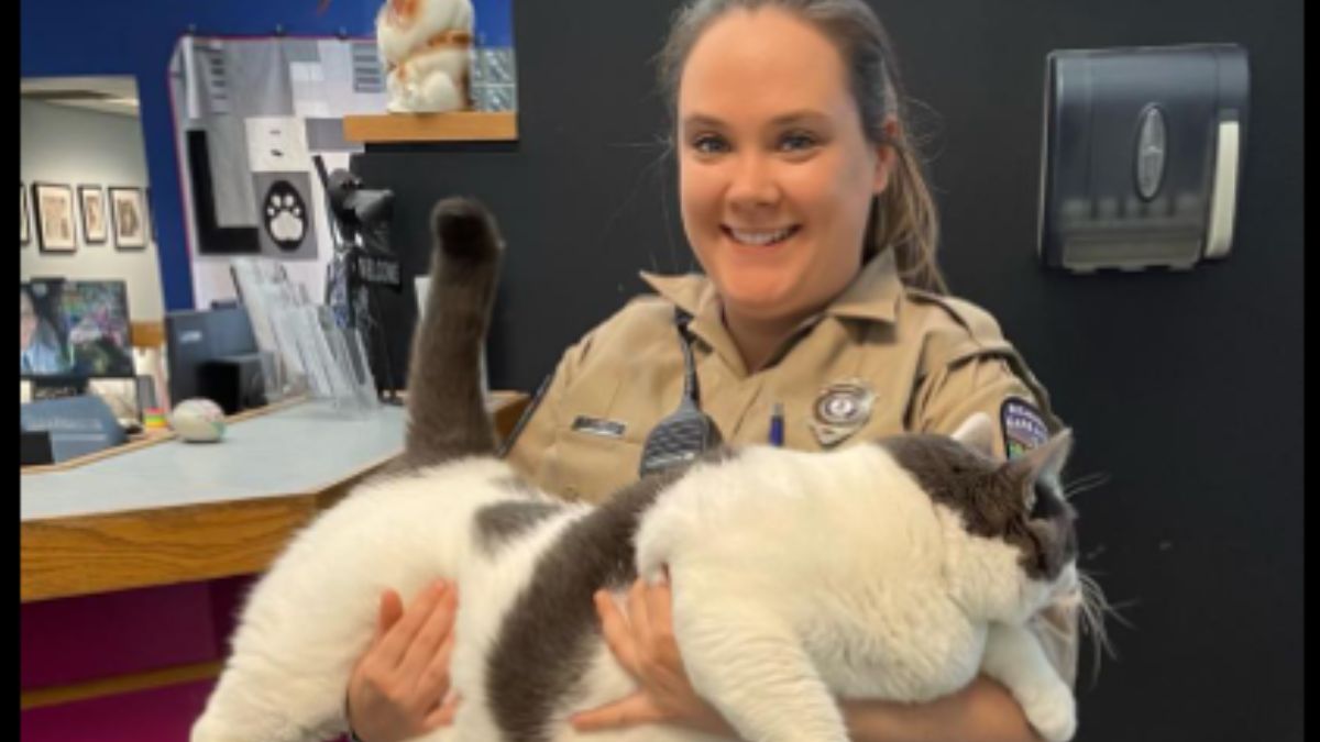 Credit: Richmond Animal Care and Control/facebook Credit: Richmond Animal Care and Control/facebook