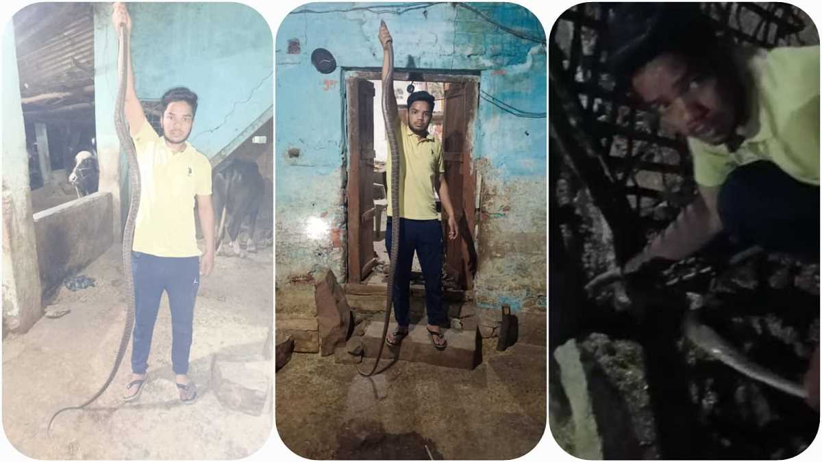 Sagar, 10 फीट लंबे सांप ने किया घर पर कब्जा, घर छोड़कर बाहर भागे परिजन Sagar, 10 फीट लंबे सांप ने किया घर पर कब्जा, घर छोड़कर बाहर भागे परिजन