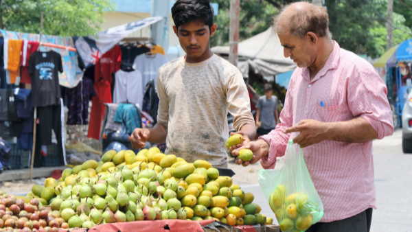  mango