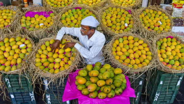  mango