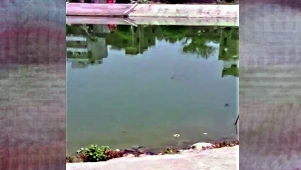 Bihar Muzaffarpur Sitamarhi 14 year old girl student murdered lover stabbed the girl with knife