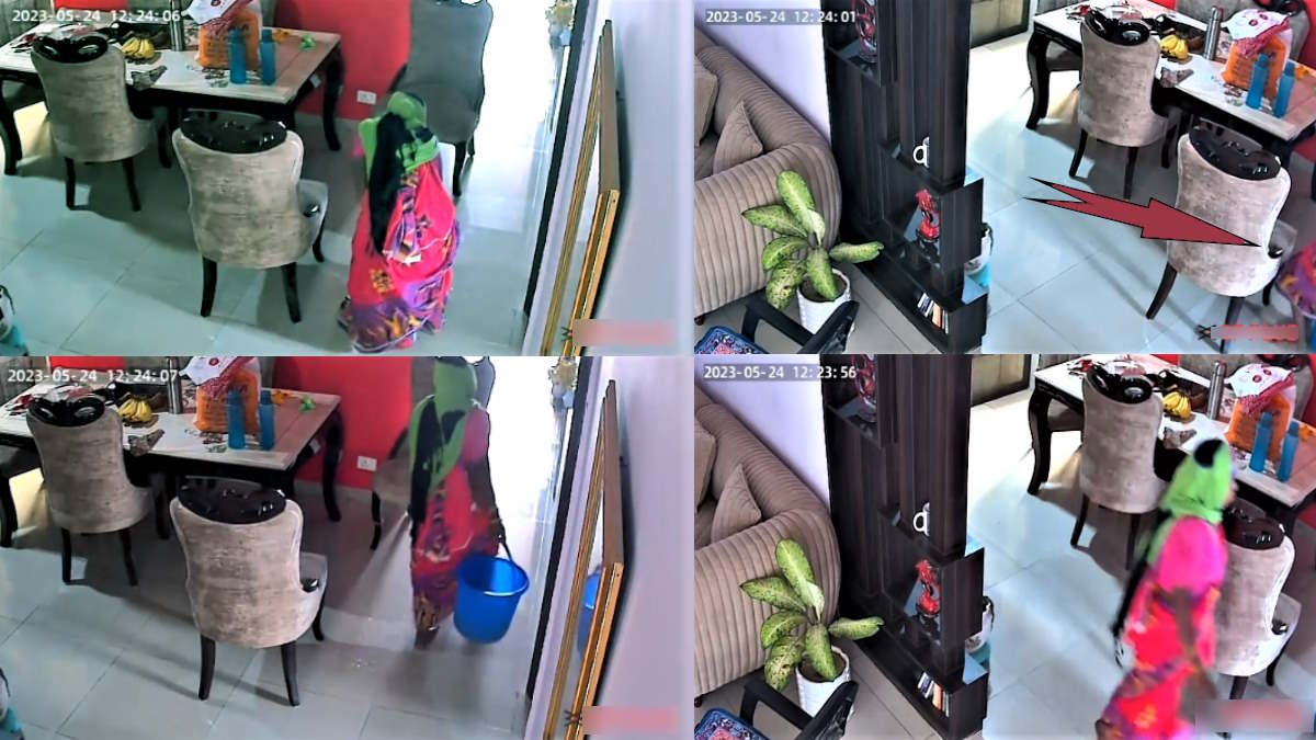 Greater Noida Ajnara Home Society Viral Video CCTV of maid who used to wipe flat with urine sent to jail Greater Noida Ajnara Home Society Viral Video CCTV of maid who used to wipe flat with urine sent to jail