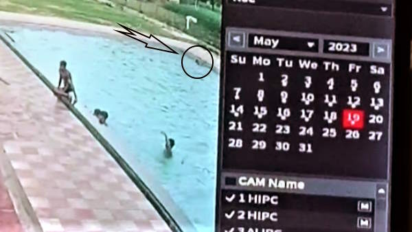 Agra 35 year old man dies due to drowning in swimming pool CCTV footage of the incident 