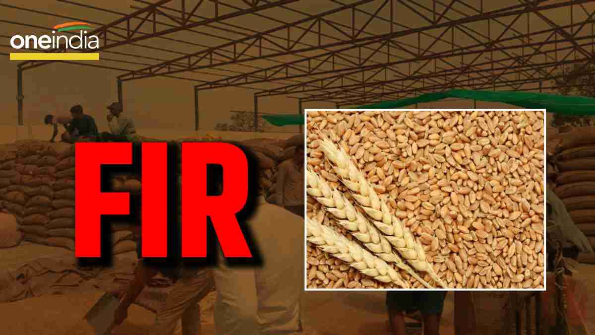 Jabalpur Fake purchase of wheat on support price Jabalpur Fake purchase of wheat on support price