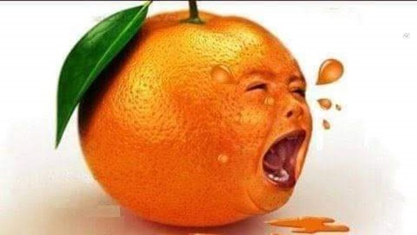 Karnataka election result 