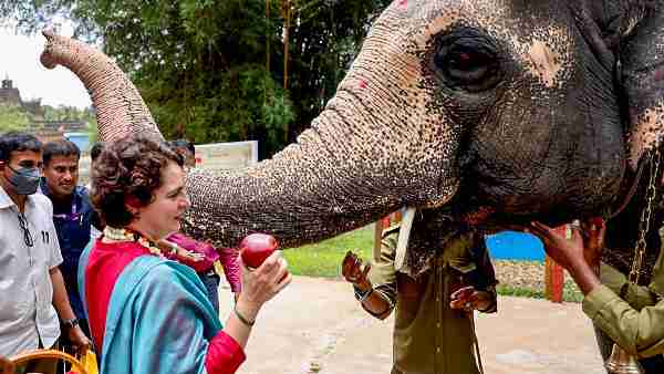 Karnataka Election Results 2023