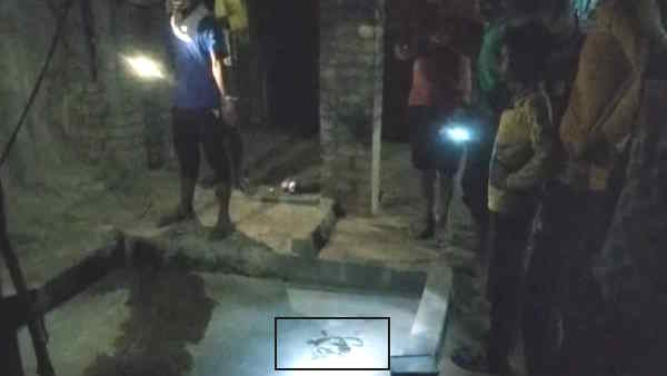 Raebareli snakes kept coming out in Hundreds in this house know the whole viral matter 