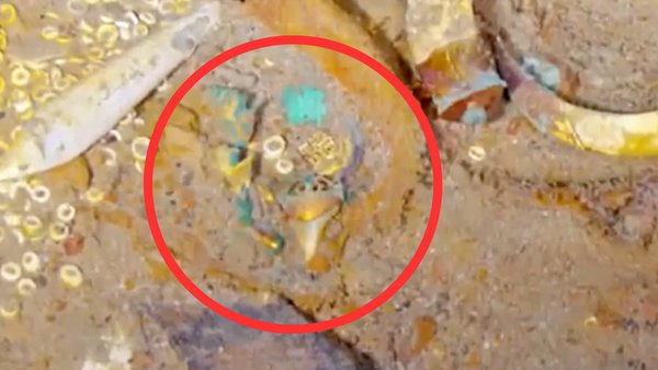 lost necklace Found In Titanic wreckage after 111 years iconic ship sank