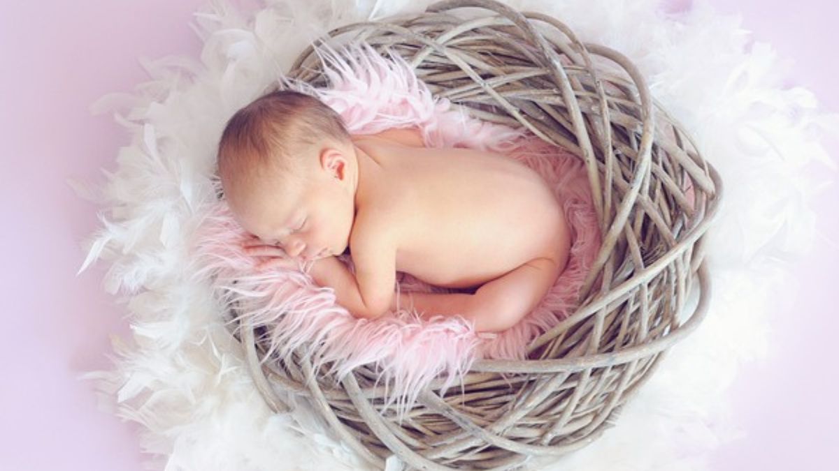 Lab born baby Lab born baby