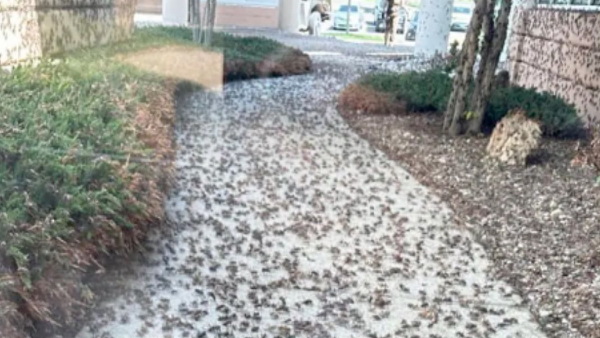 CRedit: @Old_fashioned59