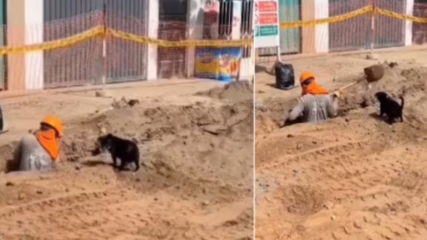 Image courtesy: Instagram