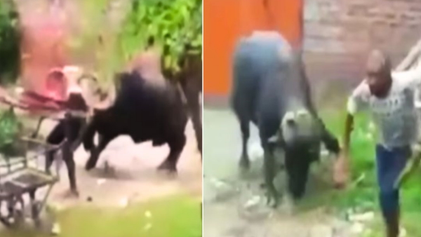 Credit: Sneha Gupta/Instagram