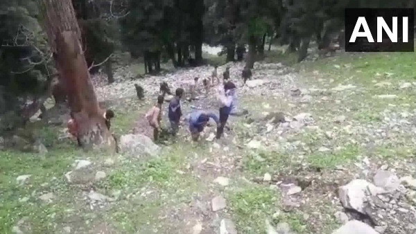 Accident in Jammu and Kashmir