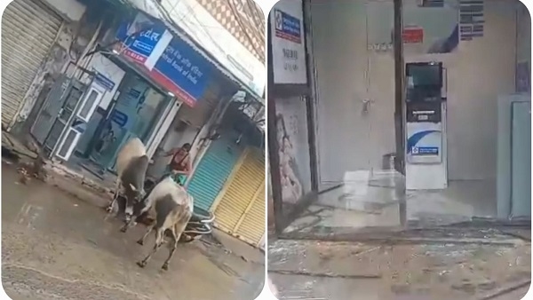 badabajar-sandho-ki-ladhaee-atm-brek