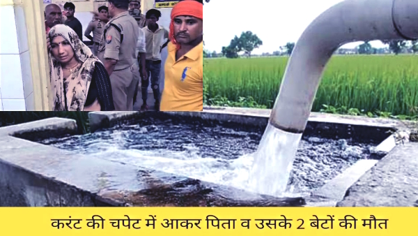 Father in saving the younger son and elder son in saving both died due to electrocution in field