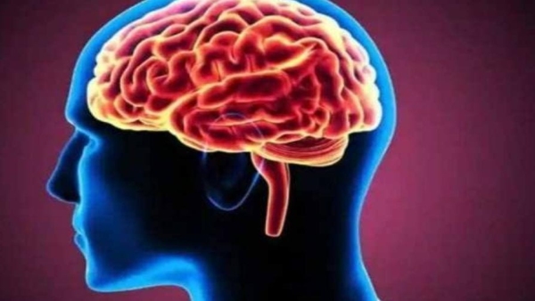 Brain mapping special software in which field child will be successful it will be known in 20 minutes