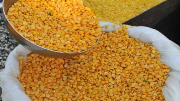 Action will be taken against traders hiding stock of pulses in Madhya Pradesh, Center wrote a letter to CS Action will be taken against traders hiding stock of pulses in Madhya Pradesh, Center wrote a letter to CS