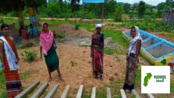 cg mahasamund gothan
