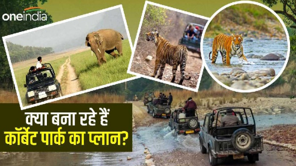 Corbett Tiger Reserve, Plans being made otherwise shocked jungal safari tourist Dhikala Zone closed