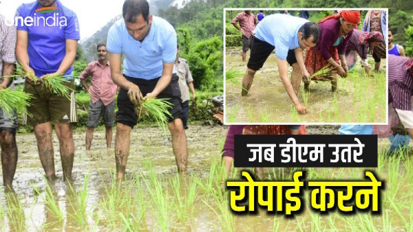 DM uttarkashi ias Abhishek Ruhela planted in the field, red paddy will also grow in the Ganga valley DM uttarkashi ias Abhishek Ruhela planted in the field, red paddy will also grow in the Ganga valley