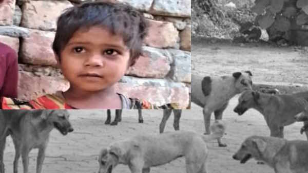 Agra stray dogs attack and kills 5 year old Kanchan while she was playing in the garden 