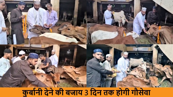Muslim community celebrated eid by serving and giving food to cow instead of sacrificing goat