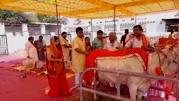  gaushala fatehpur sikar rajasthan