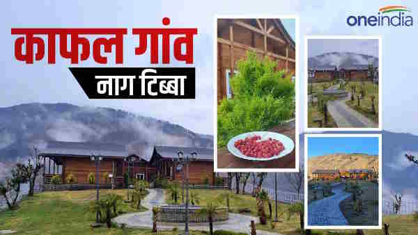 Mussoorie Nainital, now Kafal village in Nagtibba has become tourist hub, see nature in quiet valleys tourist