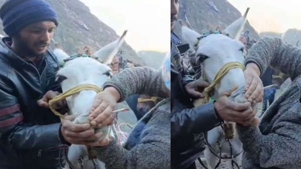 Viral video: Video of giving cigarettes to horses and mules in Kedarnath police registers case