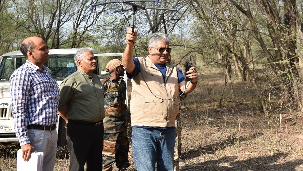 कूनो ही रहेगा ठिकाना, कहीं और नहीं जाएंगे अफ्रीकन चीते