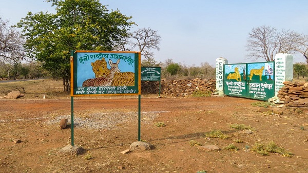 चीतों के कारण इंसानों पर संकट! कूनो के जहानगढ़ गांव विस्थापन से पहले उजाड़ने पर तुले अधिकारी