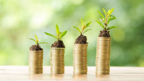 Finish these 8 important money work in June, if you miss then you may have to bear big loss