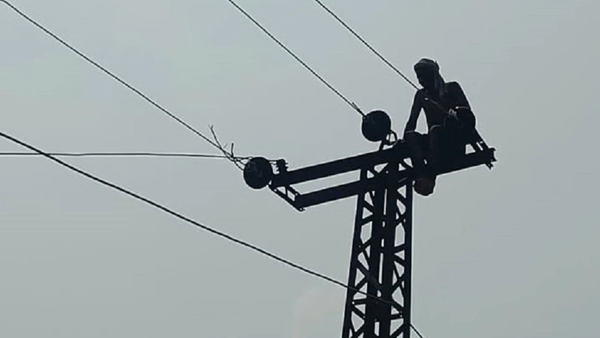 husband climbed on the electric pole