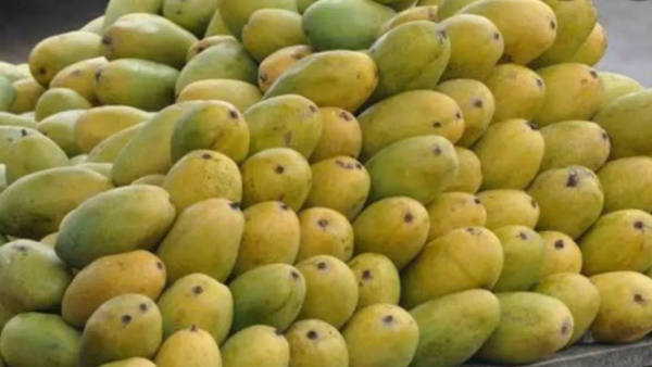 mango-loot-in-ghaziabad