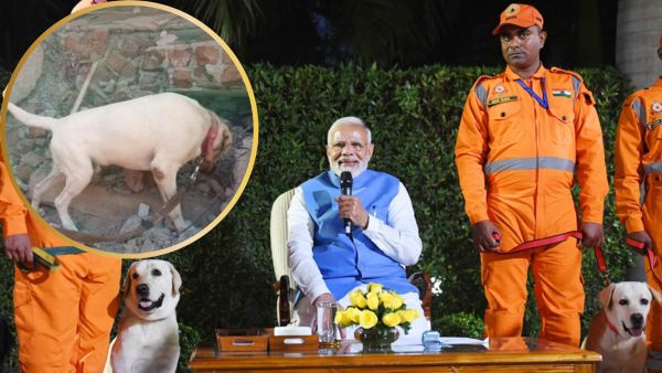 NDRF dog Julie awarded 