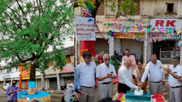 29th birthday of Neem tree 29th birthday of Neem tree