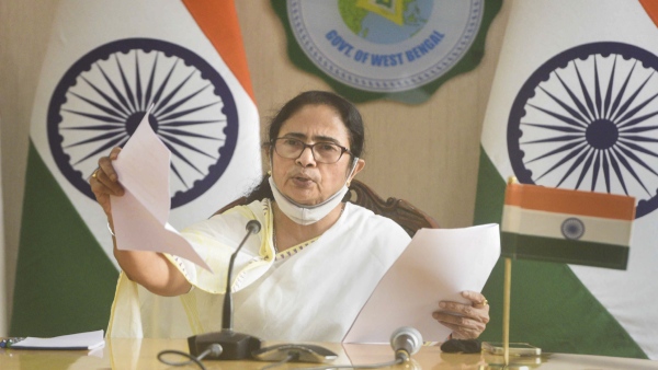 mamta tmc