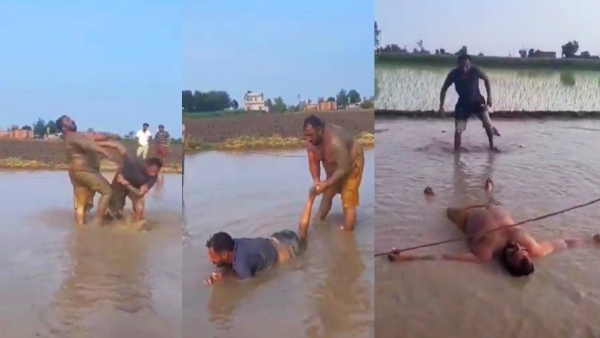 wwe wrestlers in field of water in punjab